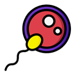 Sperm that lack the ability to penetrate an egg